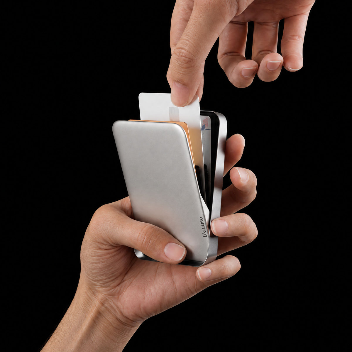 wallet ∵ 01—ships by Nov 5